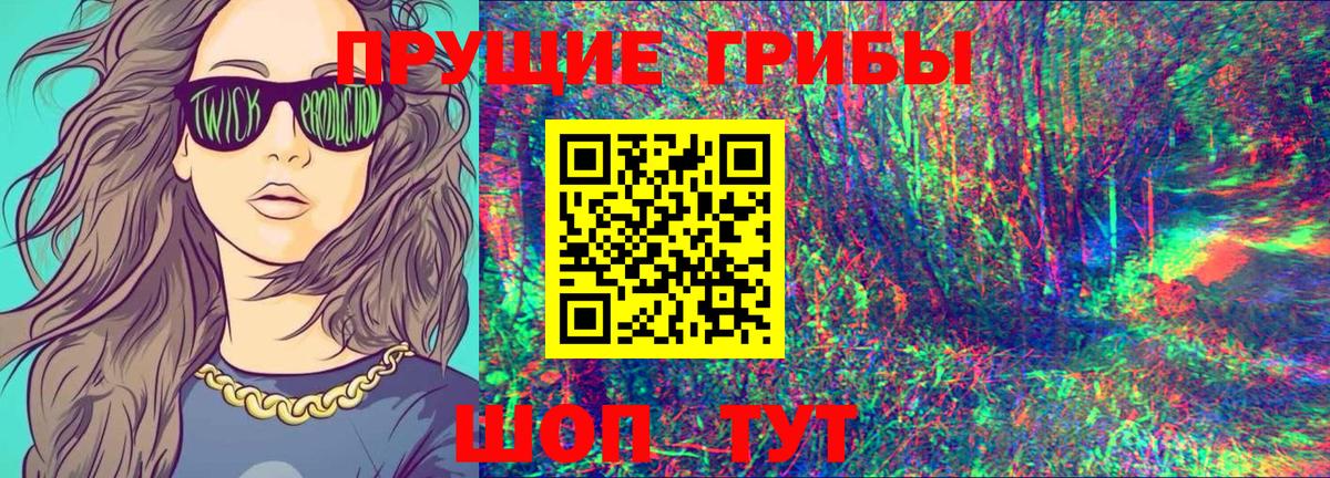 Туймазы  Галлюциногенные грибы Cubensis  Вход с VPN 