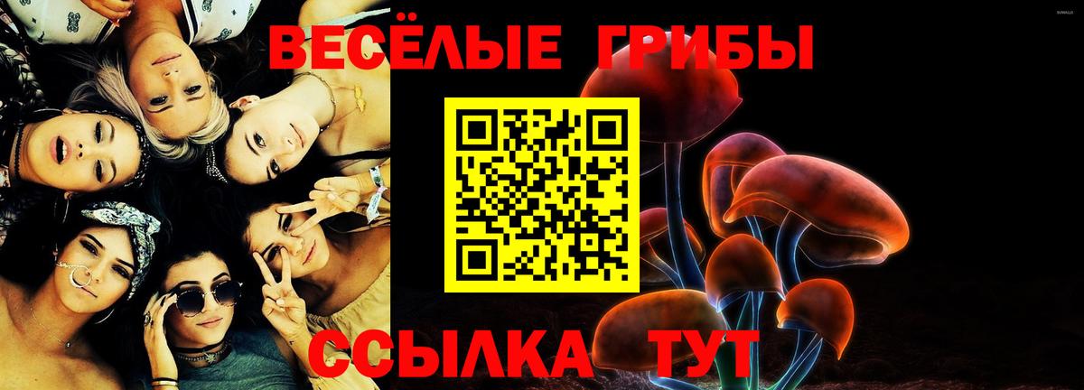 Псилоцибиновые грибы прущие грибы Туймазы